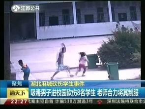 湖北学校学生爆料视频曝光  第2张